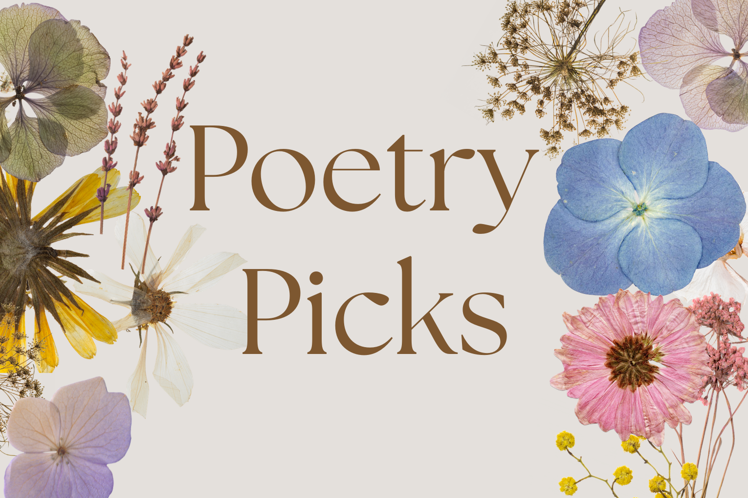 Poetry Picks