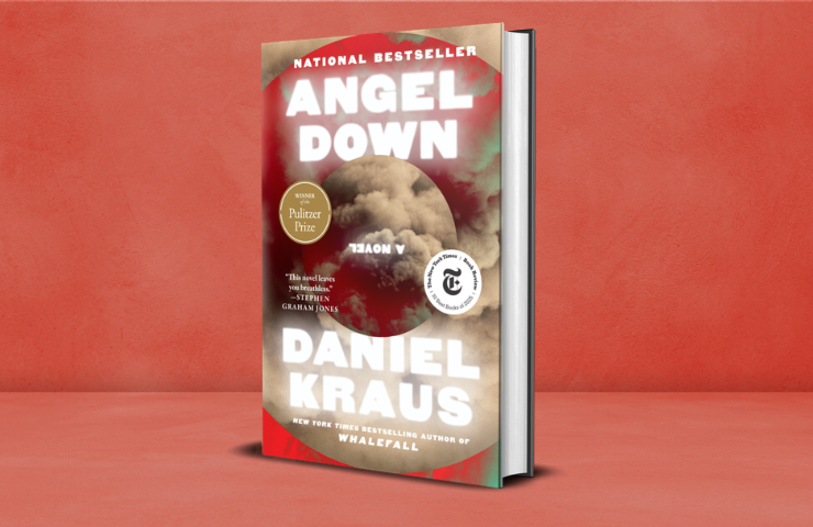 Angel Down by Daniel Kraus