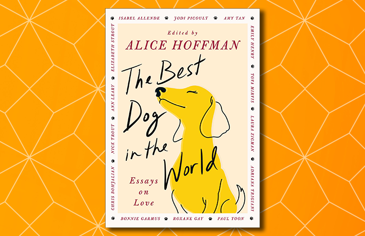 The Best Dog in the World by Alice Hoffman