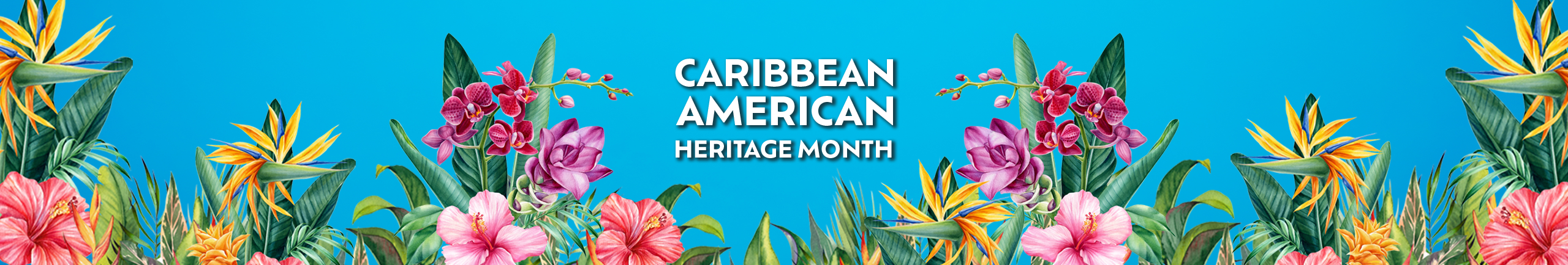 Caribbean American Heritage Month