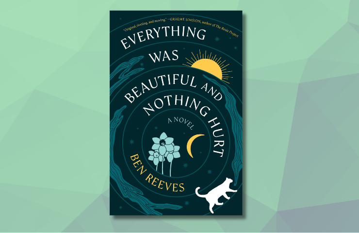 Everything is Beautiful and Nothing Hurt by Ben Reeves