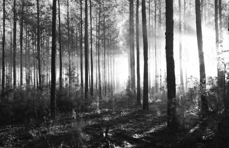 Scary Books for Horror Lovers